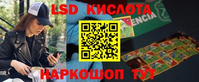 гидропоника Будённовск